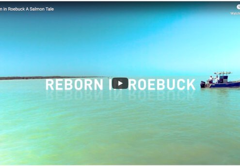 REBORN IN ROEBUCK RECFISHWEST